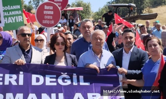 Gürsu Dışkaya'da orman yangını sonrası maden ocağı tepkisi: Köylüler ve çevreciler eylemde