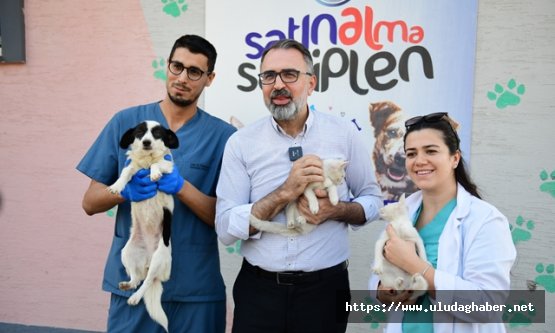 Kestel Belediyesi'nin dijital sahiplendirme platformu can dostlara sıcak yuva oluyor