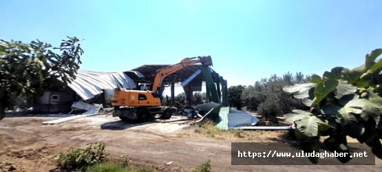 Osmangazi#039;de zeytinlik alana inşa edilen 524 metrekarelik kaçak depo yıkıldı
