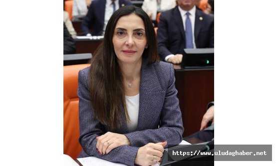YENİ Partili Kayışoğlu, Bursalı şeftali üreticisinin isyanını Meclis#039;e taşıdı