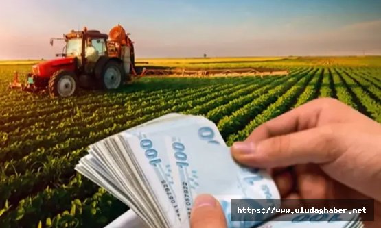 Tarım ve Orman Bakanı İbrahim Yumaklı duyurdu: 1 milyar 363 milyon liralık tarımsal destek ödemesi hesaplara aktarılıyor