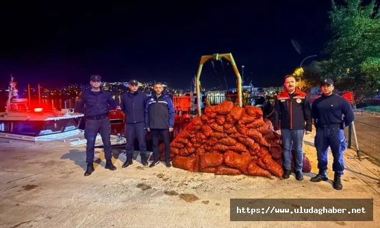Bursa Gemlik'te kaçak midye operasyonu: 1.5 ton canlı midye denize iade edildi, rekor ceza kesildi!
