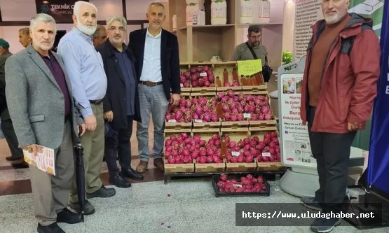 ESDER Bursa'dan tarım raporu: Küçük üreticiye destek ve pazar güvencesi şart