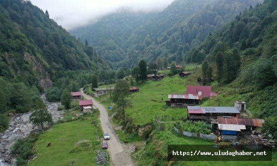 Karadeniz'in doğa ve spor cenneti Senoz Vadisi: Turizmde rekor potansiyel