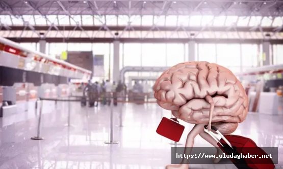TÜİK 2025 beyin göçü verilerini açıkladı: Yükseköğretim mezunlarının ilk tercihi Almanya oldu
