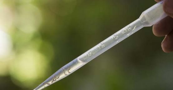 ABD: Aşısı Ancak 10 Yıl Sonra Çıkar!