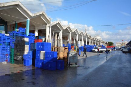 Antalya Halinde İşler Durdu!