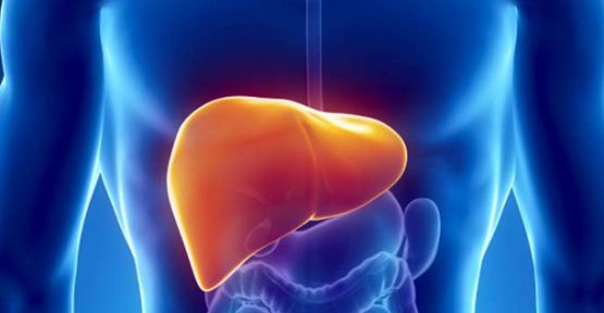 Bulaşma Yollarının Öğrenilmemesi Yayılmayı Arttırıyor!