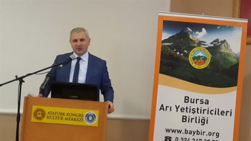 Bursa'da Bal Ormanı Sayısı 13!
