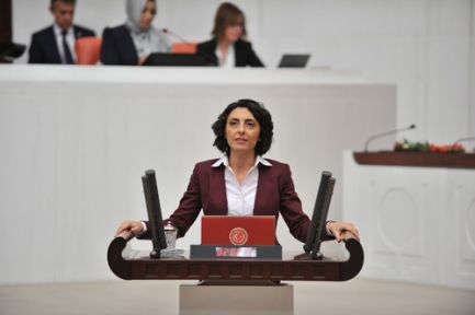 Bursa'nın Su Kaynakları Meclis Gündeminde!