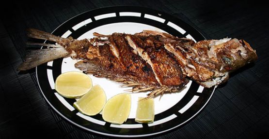 Denizde Balık Zengini Sofrada Balık Fakiriyiz!