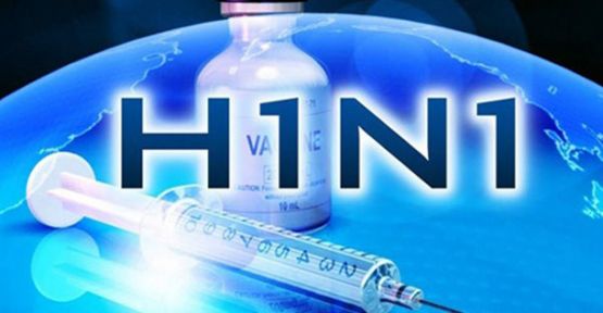 Domuz Gribinin Belirtileri!