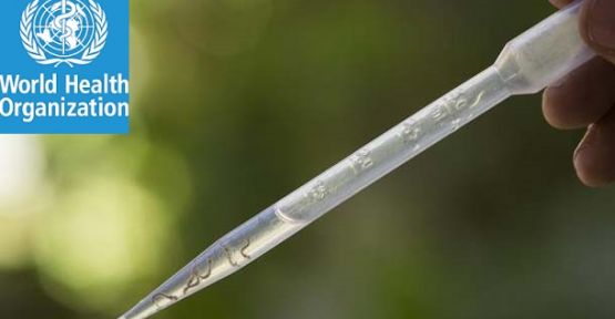 Dünya Sağlık Örgütü Acil Durum İlan Etti!