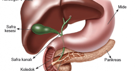 En Ölümcül Kanser Türünün Belirtileri!