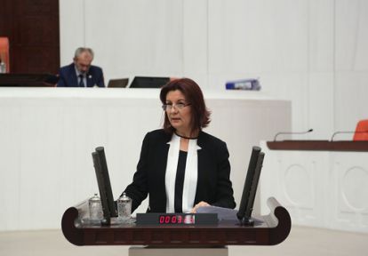 Engellilerin Sorunlarını Meclis Gündemine Getirdi!