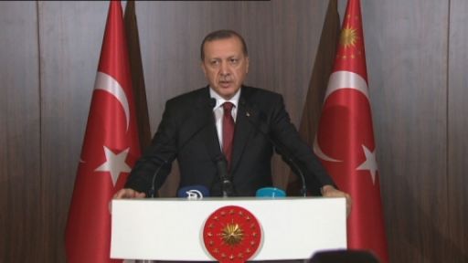Erdoğan: Fransız Dostlarımıza Başsağlığı Diliyorum!