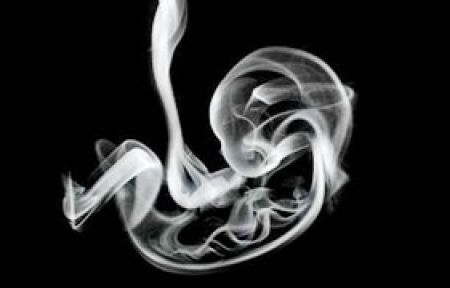 İçtiğiniz Sigara Bebeğinizi Oksijensiz Bırakıyor!