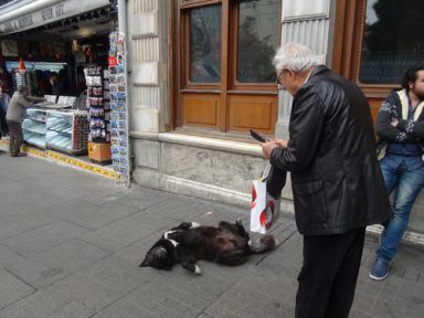İlgi İçin Ölü Takliti Yaptı!