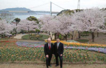 İstanbul'a Japon Kiraz Ağaçları!