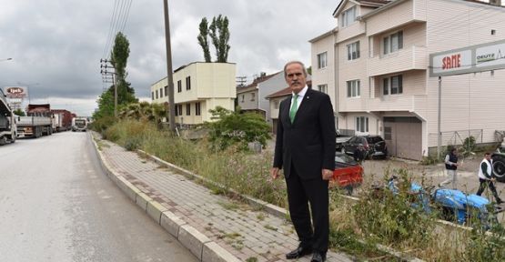 Kent Girişlerine Estetik Müdahale!