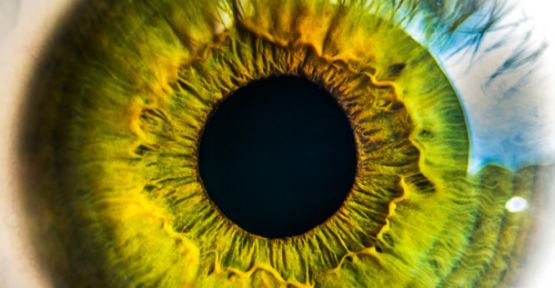 Kışın Gözünüzü Daha Çok Sakının!