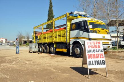 Krizin Vurduğu Domates Salçaya Gidiyor!
