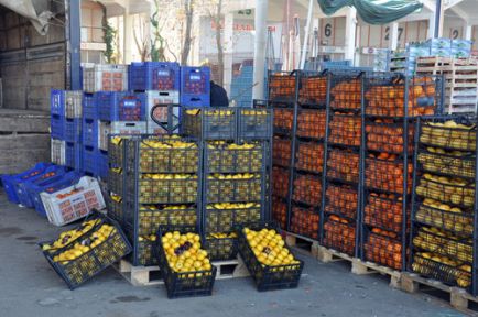 Limon Rekora Gidiyor Sebze Fiyatı İki Katına Çıkacak!