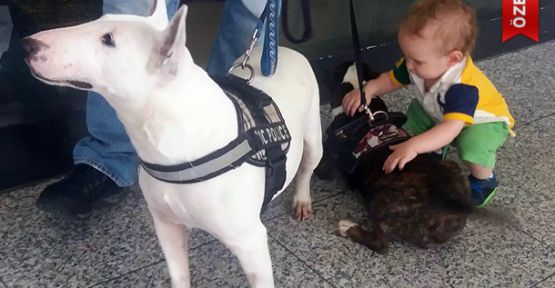 Minik Yolcunun Köpek Sevgisi!