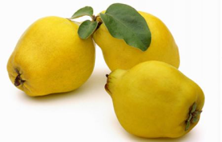 Öksürüğü Azaltıyor!