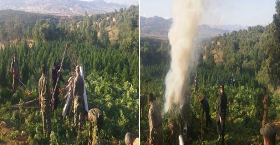 PKK'nın Para Kaynağına Operasyon!