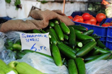 Salatalığın Fiyatı 6 Lirayı Buldu!