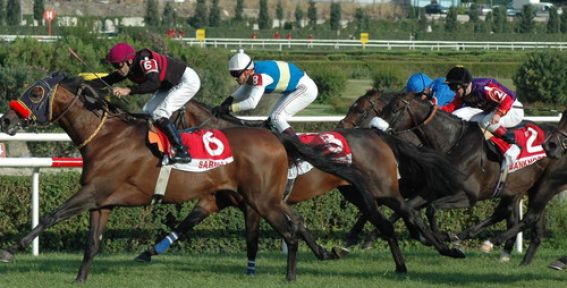 Spor ve Yarış İçin Kullanılıyor!