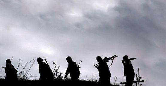 Terör Örgütlerinin Röntgenini Çekti!