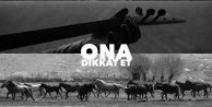 Sanatçı Hacibab'ın Erciyes'ten İlham Alan Yeni Eseri "Ona Dikkat Et" Müzik ve Sanatseverlerle Buluştu