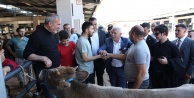 Başkan Bozbey Kurban Pazarı'nda: Atık Yönetimi İçin Hassasiyet Çağrısı!