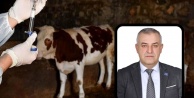 Anahtar Parti’den Mustafakemalpaşa’daki Şap Hastalığına Tepki: “Çiftçi İhmalkârlığın Kurbanı Edildi”