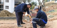 Osmangazi'den Yeni Yeşil Alan Hamlesi: Demirtaş ve Ovaakça'ya Modern Parklar Geliyor