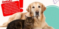 İnegöl Belediyesi'nden Kedi ve Köpek Sahiplerine Mikroçip Çağrısı: "Kayıtsız Kalma, Kayıt Al"