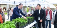 Kestel’de Dev Tarım Hamlesi: Ahududu Üretiminde Dünya Markası Olma Yolunda 6 Bin Fidan Toprakla Buluşuyor