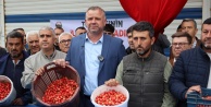 Kirazda Hasat Coşkusu Başladı: 200 Milyon...