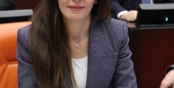 YENİ Partili Kayışoğlu, Bursalı şeftali üreticisinin isyanını Meclis#039;e taşıdı