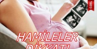 Hamileler Dikkat!