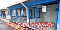 Hayvan Oteline Büyük İlgi!