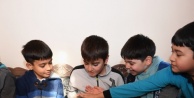 Hem Kitap Okuyor Hem De Kedileri Seviyorlar