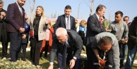Kadınlar Günü'nde çiçekler toprakla buluştu