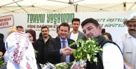 14 Mayıs Dünya Çiftçiler Günü'nde Osmangazi Belediyesi Ata Tohumu Fidelerini Dağıttı: Kentsel Tarıma Büyük İlgi