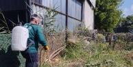 Bursa Büyükşehir Belediyesi'nden Yaz Öncesi Haşere Mücadelesi: Sağlıklı Çevre İçin 7/24 Çalışma!