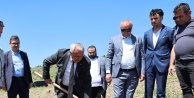 Nilüfer Belediyesi'nden Tarıma Destek: Konaklı'da 800 Zeytin Fidanı Toprakla Buluştu