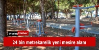 Bursa Büyükşehir Belediyesi Yenişehir'e Dev Mesire Alanı Kazandırıyor
