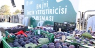 Nilüfer 11. Akçalar İncir Festivali'ne Hazırlanıyor